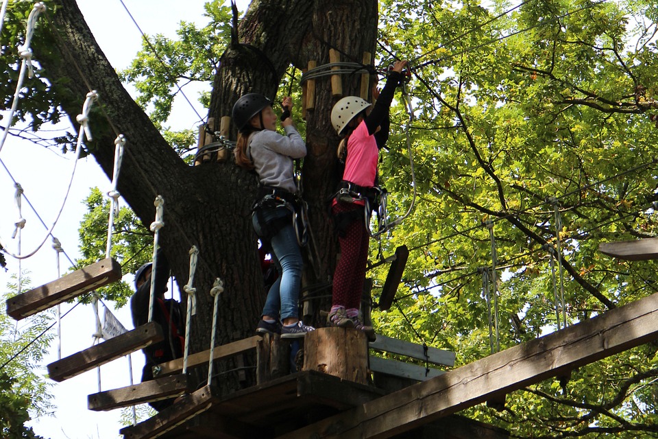 Parcours d'accrobranche